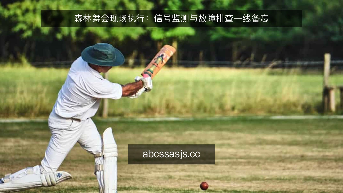 森林舞会现场执行：信号监测与故障排查一线备忘
