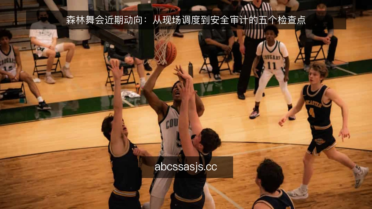 森林舞会近期动向:从现场调度到安全审计的五个检查点