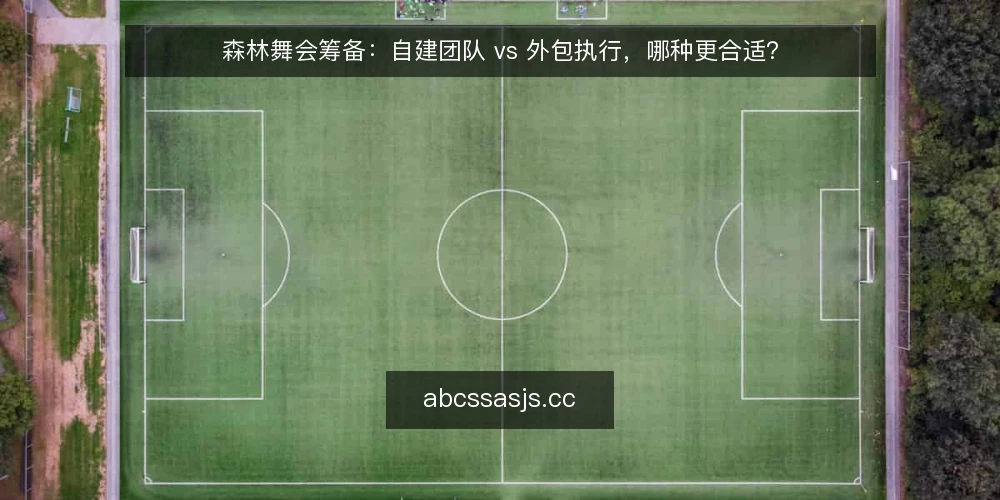 森林舞会筹备：自建团队 vs 外包执行，哪种更合适？ — 对比前先明确决策标准 配图