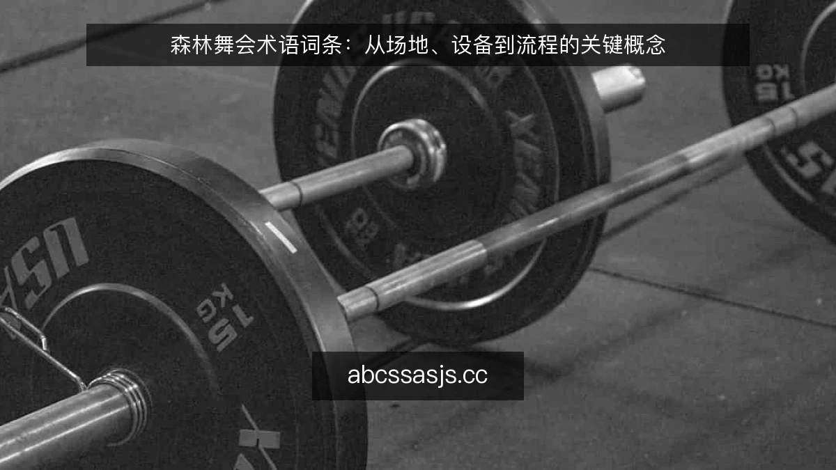 森林舞会术语词条：从场地、设备到流程的关键概念