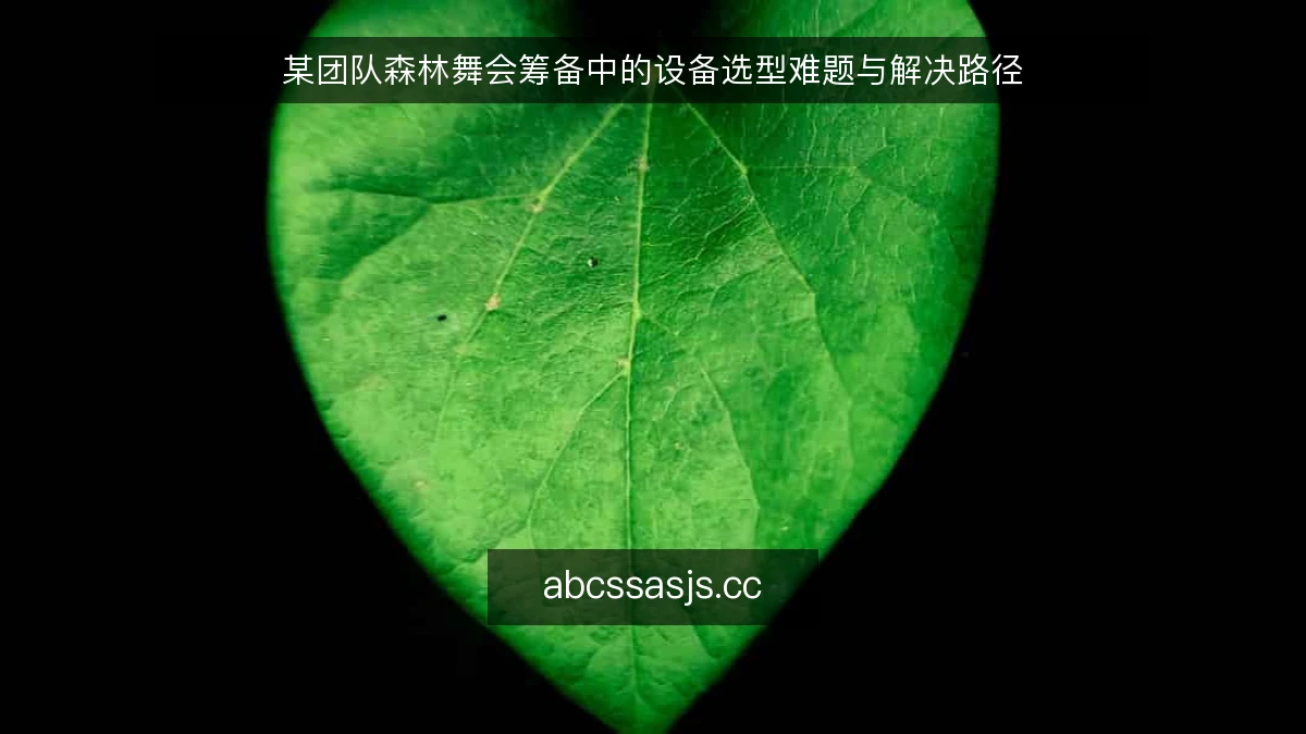 某团队森林舞会筹备中的设备选型难题与解决路径