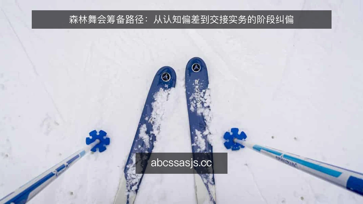 森林舞会筹备路径：从认知偏差到交接实务的阶段纠偏