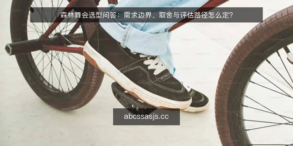 森林舞会选型问答：需求边界、取舍与评估路径怎么定？ — 森林舞会方案的需求边界怎么定义？ 配图