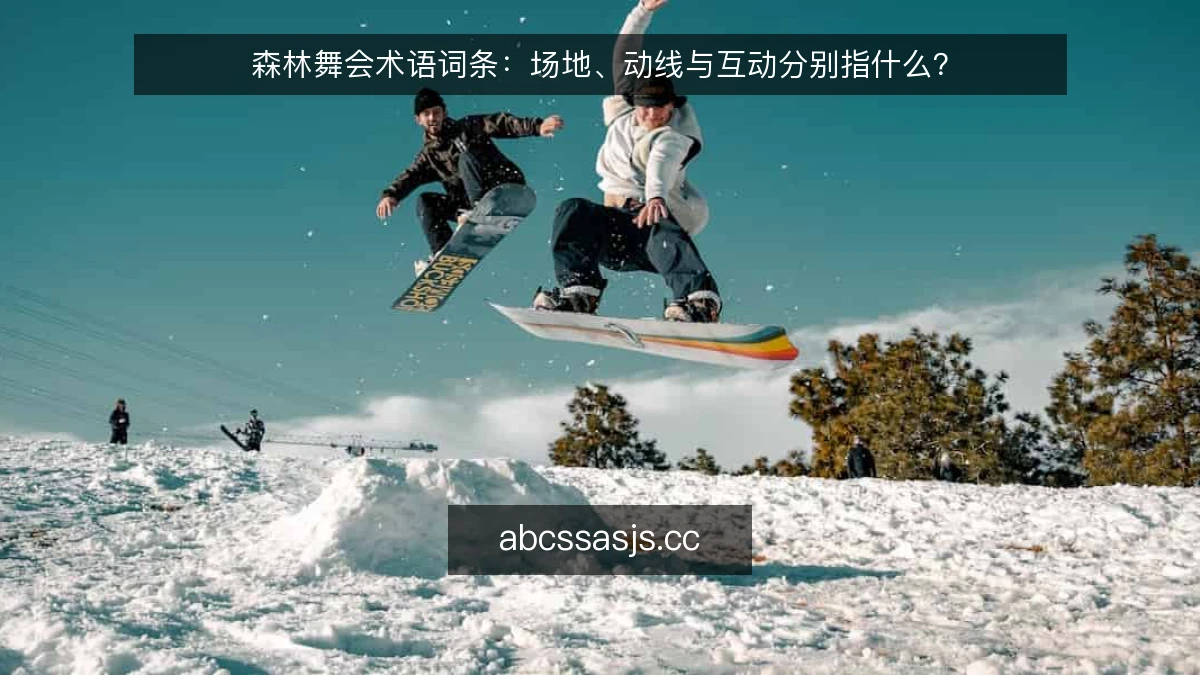 森林舞会术语词条：场地、动线与互动分别指什么？