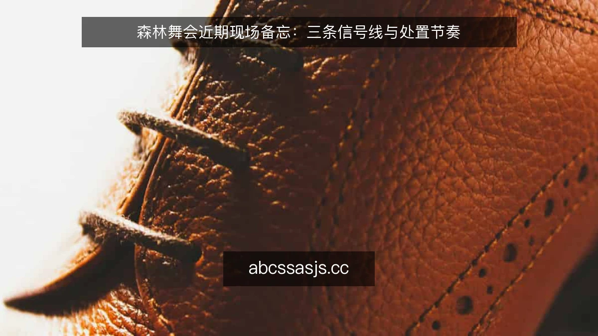 森林舞会近期现场备忘：三条信号线与处置节奏