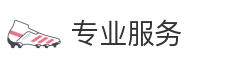 专业服务