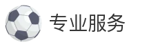 专业服务